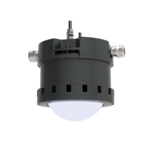 TWO IN ONE LED PENDENT LIGHT